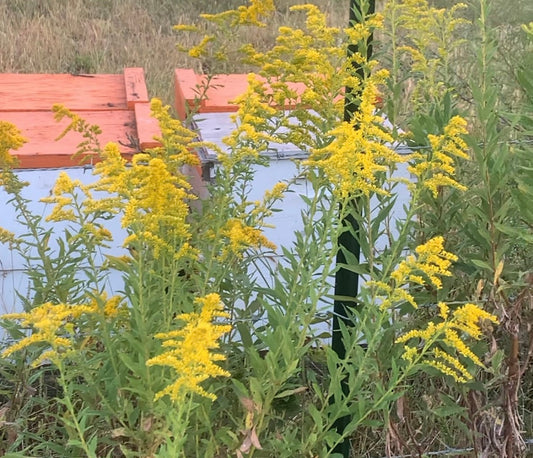 A new season on The Farm